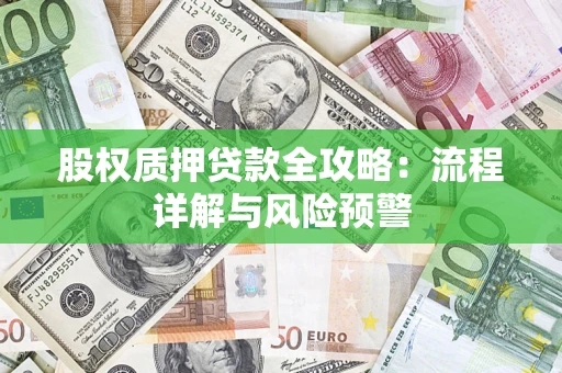 武汉股权质押贷款全攻略：流程详解与风险预警