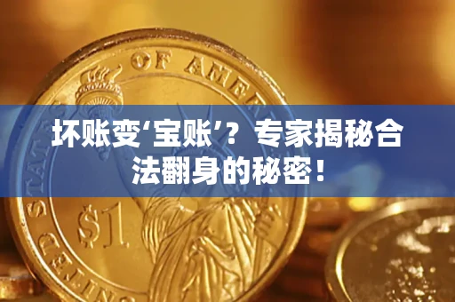 武汉坏账变‘宝账’？专家揭秘合法翻身的秘密！