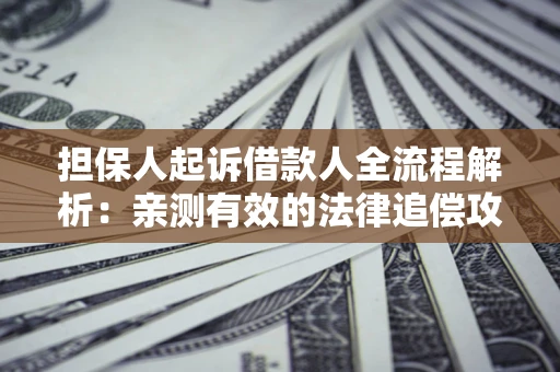 武汉担保人起诉借款人全流程解析：亲测有效的法律追偿攻略