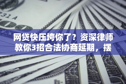 武汉网贷快压垮你了？资深律师教你3招合法协商延期，摆脱暴力催收！
