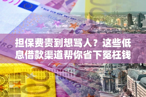 武汉担保费贵到想骂人？这些低息借款渠道帮你省下冤枉钱