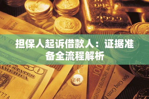 武汉担保人起诉借款人：证据准备全流程解析