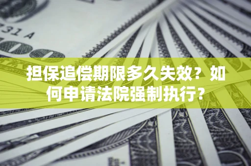 武汉担保追偿期限多久失效？如何申请法院强制执行？