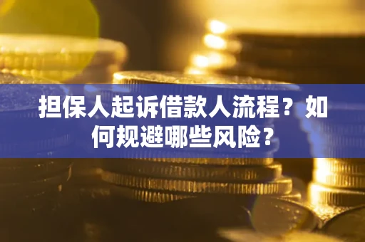 武汉担保人起诉借款人流程？如何规避哪些风险？