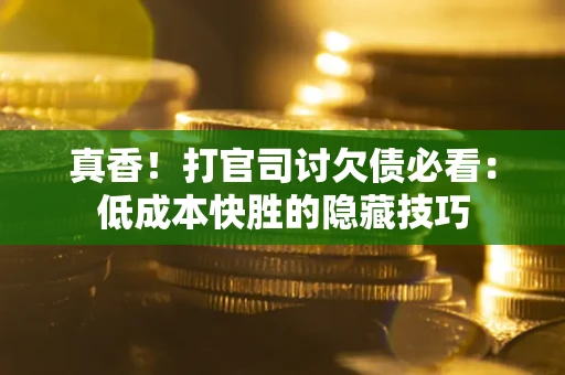 武汉真香！打官司讨欠债必看：低成本快胜的隐藏技巧