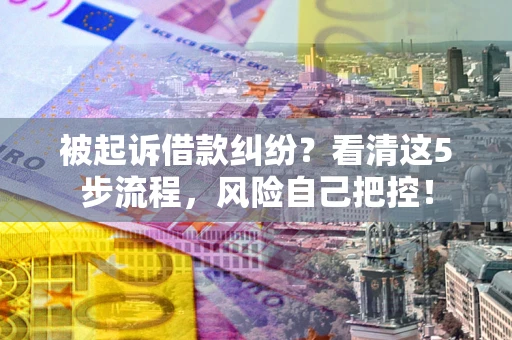武汉被起诉借款纠纷？看清这5步流程，风险自己把控！