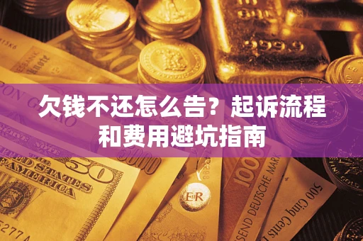 武汉欠钱不还怎么告？起诉流程和费用避坑指南
