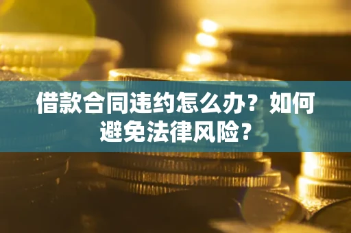 武汉借款合同违约怎么办？如何避免法律风险？