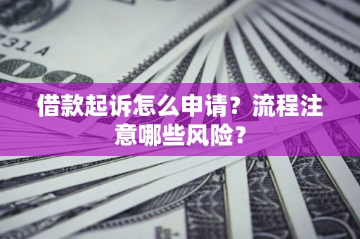 武汉借款起诉怎么申请？流程注意哪些风险？