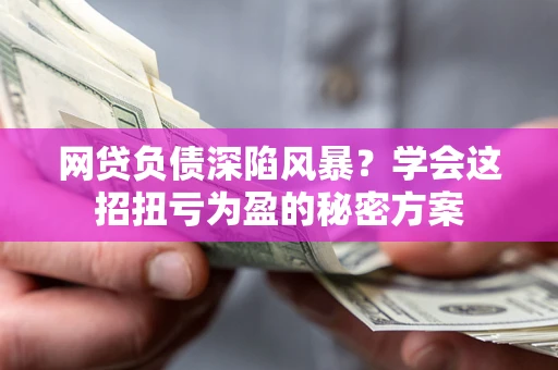 武汉网贷负债深陷风暴？学会这招扭亏为盈的秘密方案