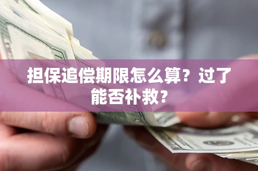 武汉担保追偿期限怎么算？过了能否补救？